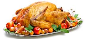 Thanksgiving Turkey Illustration. (Large)